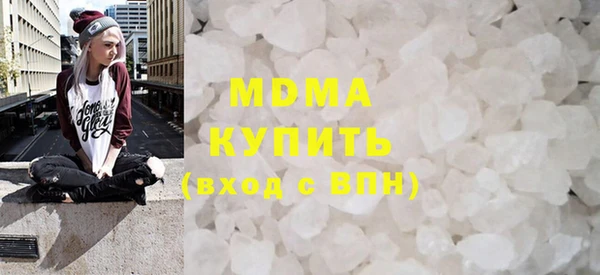 шишки Няндома