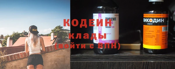 шишки Няндома