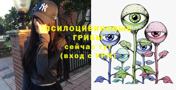 шишки Няндома