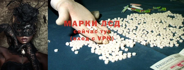 шишки Няндома