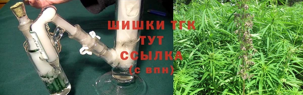 шишки Няндома