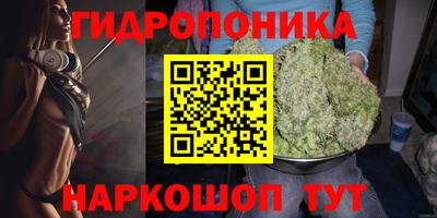 apvp Краснодар