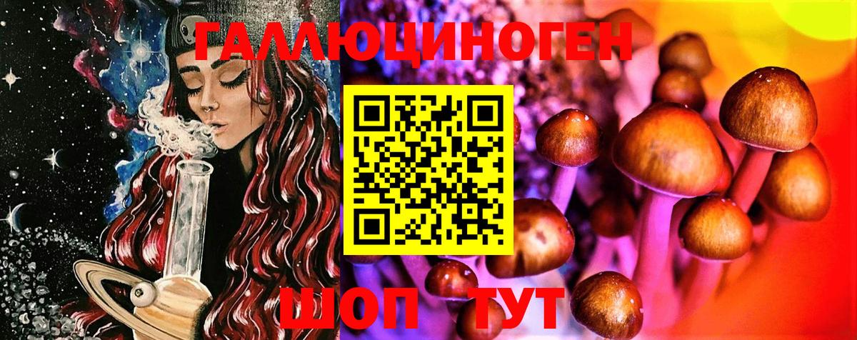 Псилоцибиновые грибы Psilocybe  Вход с VPN  Кингисепп  Галлюциногенные грибы MAGIC MUSHROOMS 